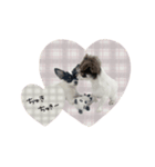 ♡こたろう＆ぷに（個別スタンプ：6）