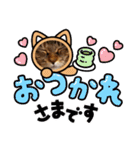 真顔ねこスタンプ❀（個別スタンプ：3）