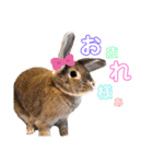 COMUGI.YOMOGI.OHAGI（個別スタンプ：1）