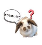 COMUGI.YOMOGI.OHAGI（個別スタンプ：2）