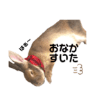 COMUGI.YOMOGI.OHAGI（個別スタンプ：6）