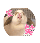 COMUGI.YOMOGI.OHAGI（個別スタンプ：7）