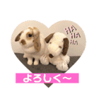 COMUGI.YOMOGI.OHAGI（個別スタンプ：12）