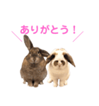 COMUGI.YOMOGI.OHAGI（個別スタンプ：15）