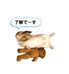 COMUGI.YOMOGI.OHAGI（個別スタンプ：23）