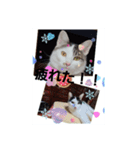 Yuuri chachamaru（個別スタンプ：3）