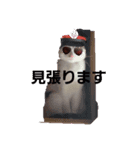 Yuuri chachamaru（個別スタンプ：6）