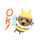 ベルちゃんスタンプ2022.02.（個別スタンプ：14）