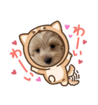 ベルちゃんスタンプ2022.02.（個別スタンプ：17）