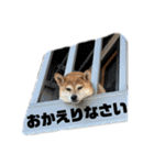 らんちゃこの日常（個別スタンプ：14）