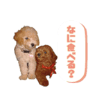 今は亡き宮田家の犬たち2（個別スタンプ：16）