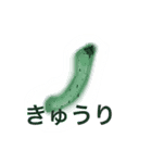 しーらんぺったん（個別スタンプ：2）
