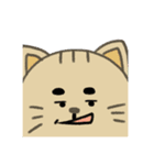 にちじょうたち（個別スタンプ：13）