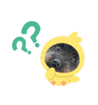 ひじhiji（個別スタンプ：6）