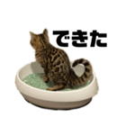 ちまき倶楽部vol.1（個別スタンプ：6）
