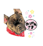 PUA.stamp（個別スタンプ：8）