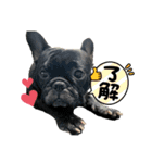 PUA.stamp（個別スタンプ：10）