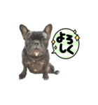 PUA.stamp（個別スタンプ：16）