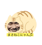 まさだにゃん！（個別スタンプ：1）