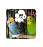ゆきちゃんスタンプ32（個別スタンプ：1）