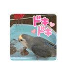 ゆきちゃんスタンプ32（個別スタンプ：5）