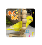 ゆきちゃんスタンプ32（個別スタンプ：10）