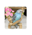 ゆきちゃんスタンプ32（個別スタンプ：12）
