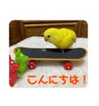 ゆきちゃんスタンプ32（個別スタンプ：13）