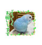 ゆきちゃんスタンプ32（個別スタンプ：15）
