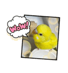 ゆきちゃんスタンプ32（個別スタンプ：16）