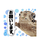 法島人③（個別スタンプ：5）