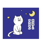 割と丁寧な猫（個別スタンプ：16）