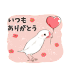 文鳥のきもち（個別スタンプ：2）