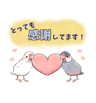 文鳥のきもち（個別スタンプ：4）