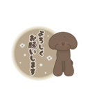 ブラウンプードル1-3（個別スタンプ：8）