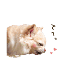こまるの気持ち（個別スタンプ：6）