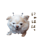 こまるの気持ち（個別スタンプ：13）