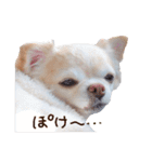 こまるの気持ち（個別スタンプ：30）