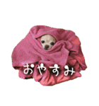 こまるの気持ち（個別スタンプ：32）