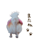 こまるの気持ち（個別スタンプ：36）