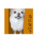 こまるの気持ち（個別スタンプ：37）