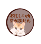 大人可愛シックな子猫達♡丁寧で便利な敬語（個別スタンプ：1）