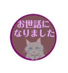 大人可愛シックな子猫達♡丁寧で便利な敬語（個別スタンプ：6）