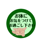 大人可愛シックな子猫達♡丁寧で便利な敬語（個別スタンプ：7）