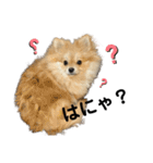 あざとい、こてつ（個別スタンプ：7）