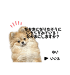 あざとい、こてつ（個別スタンプ：14）