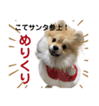 あざとい、こてつ（個別スタンプ：21）