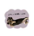 ♡maki様（個別スタンプ：2）