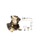 ♡maki様（個別スタンプ：7）