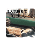 ペットで代弁④（個別スタンプ：1）